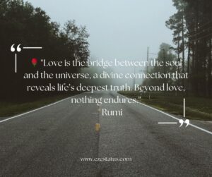 Rumi Love Status