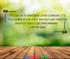 Victor Hugo Love Status