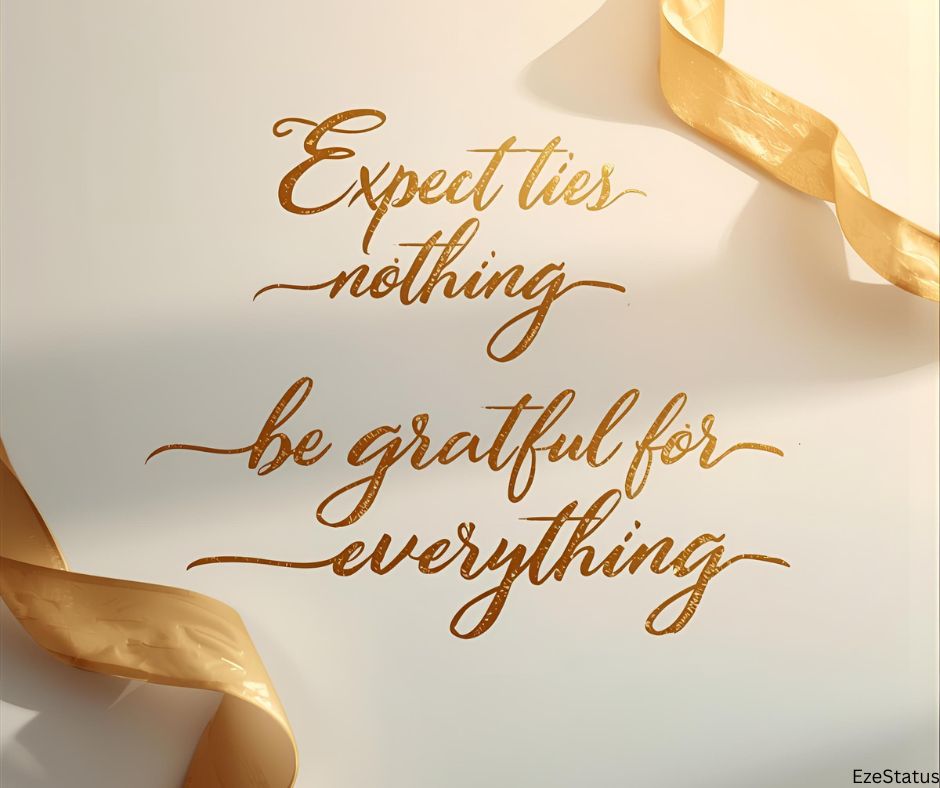 Expect nothing, be grateful for everything