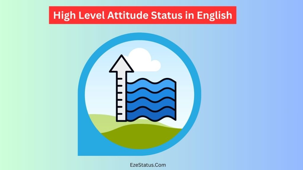 High Level Attitude Status in English